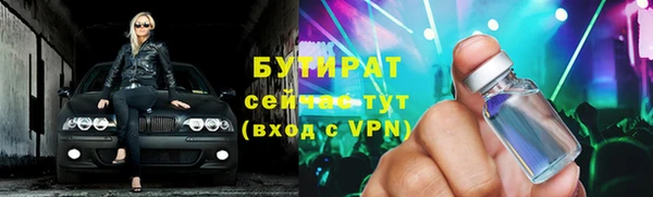 сатива Няндома