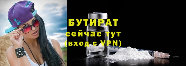 сатива Няндома