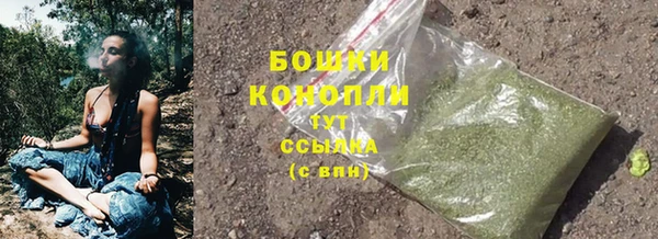 гидра Нягань