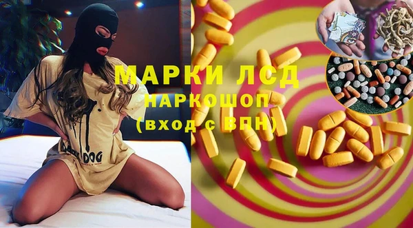 сатива Няндома