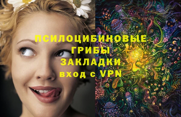 сатива Няндома
