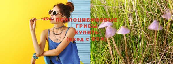 гидра Нягань