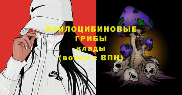 стафф Новозыбков