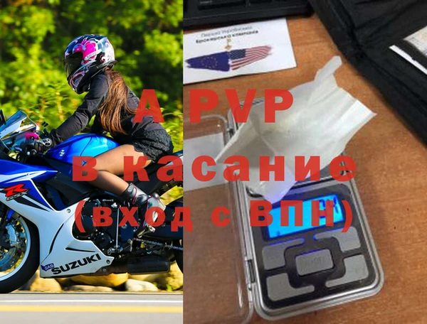 сатива Няндома