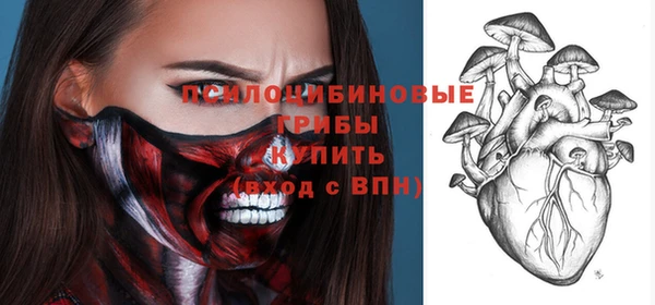 прущие крисы Бикин