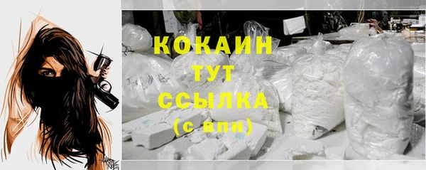 сатива Няндома