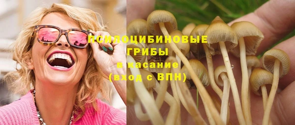 скорость Новодвинск