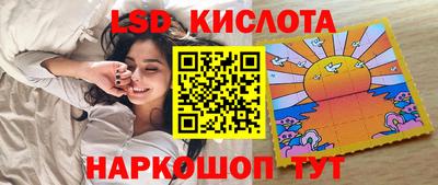 spice Гатчина