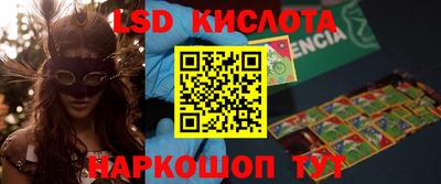 spice Гатчина