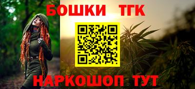spice Гатчина