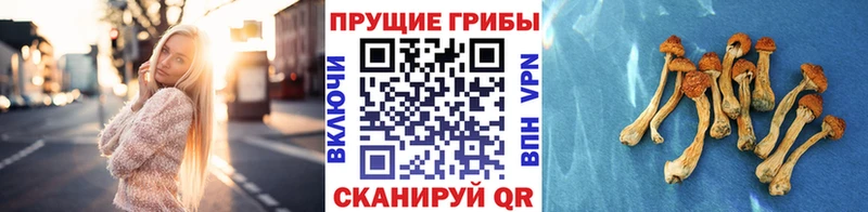 Галлюциногенные грибы ЛСД купить закладку Калач-на-Дону