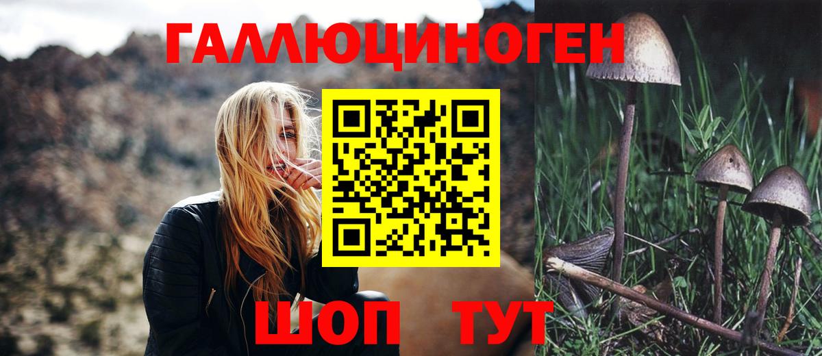 Галлюциногенные грибы прущие грибы Калач-на-Дону