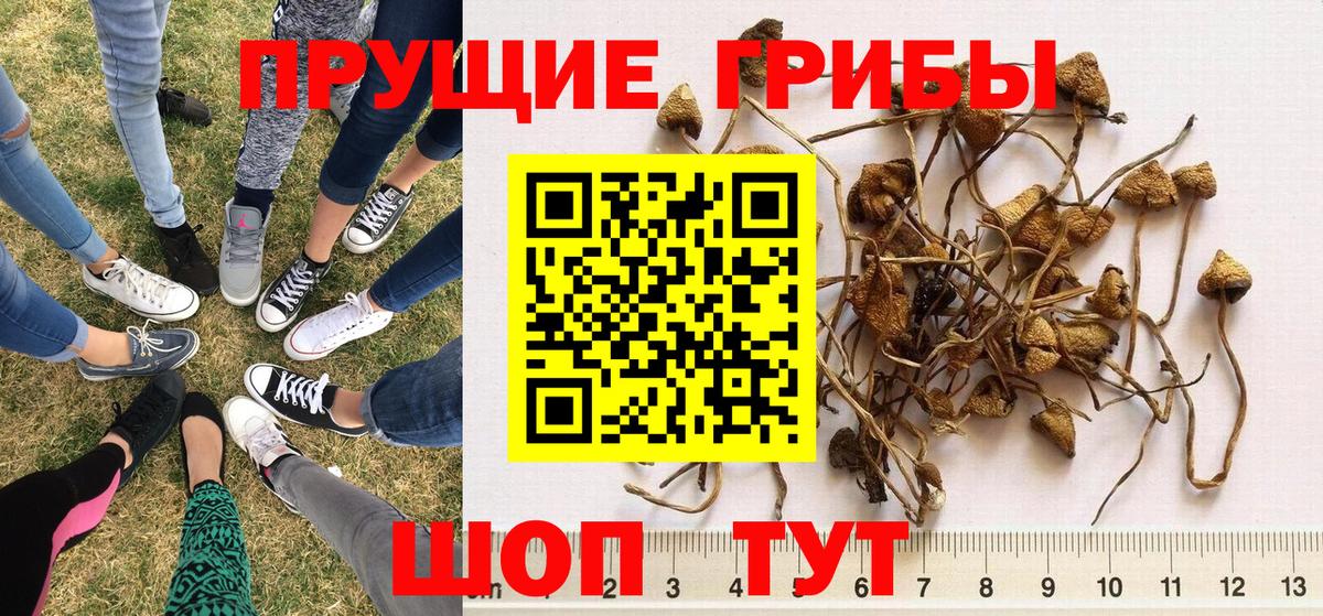  Cocaine Калач-на-Дону