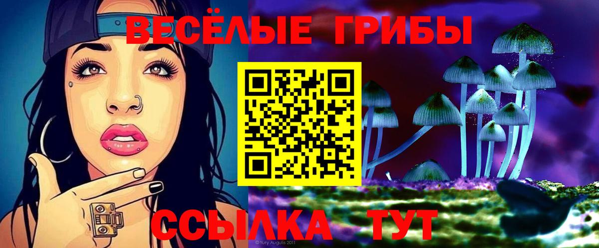 как найти закладки  Псилоцибиновые грибы Psilocybe  Калач-на-Дону  Вход с VPN  Псилоцибиновые грибы мицелий 